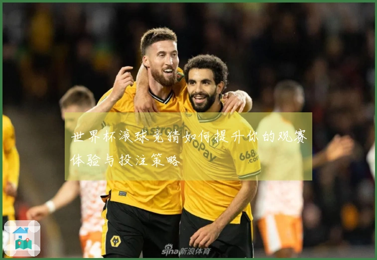 世界杯滚球竞猜如何提升你的观赛体验与投注策略