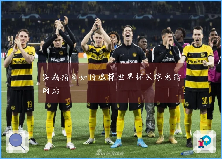 实战指南如何选择世界杯买球竞猜网站
